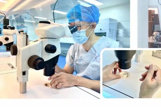 深圳2026年贵阳试管婴儿费用明细 一次多少钱？