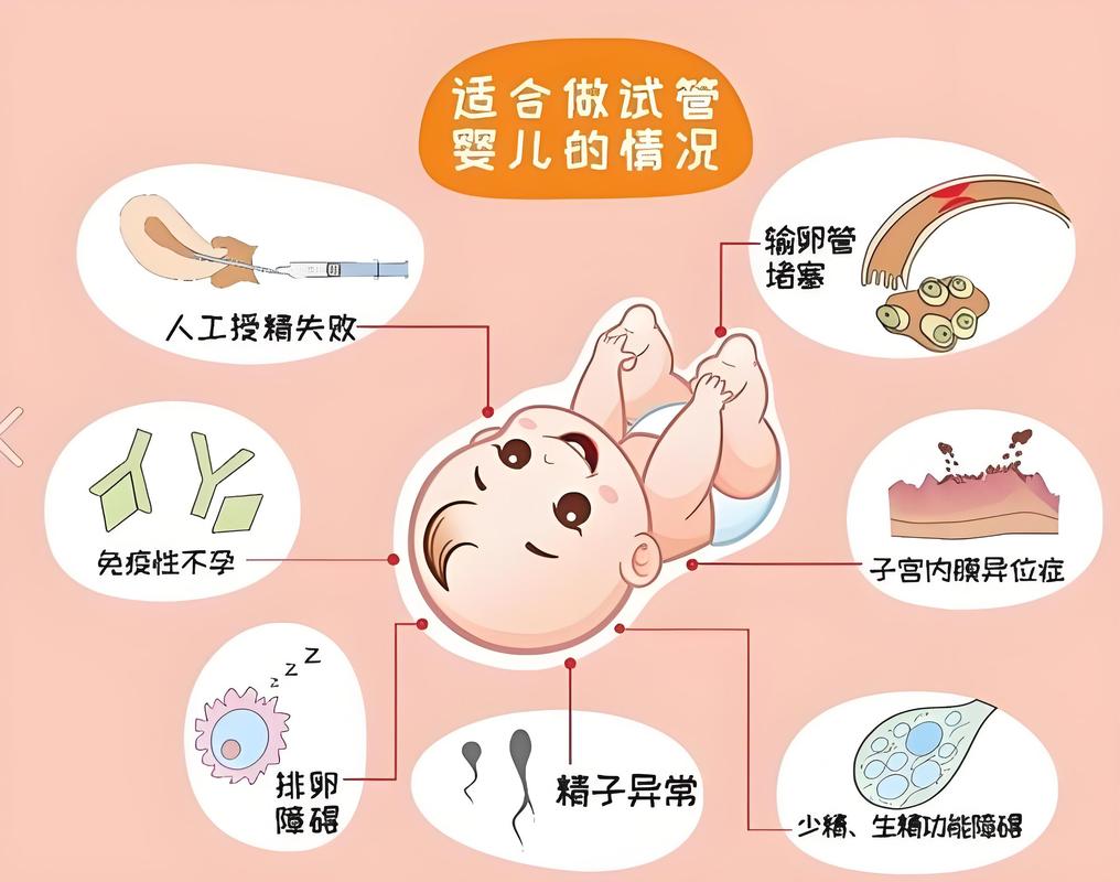 深圳试管婴儿科普干货 从检查到移植一篇看懂