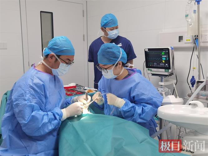 深圳90岁老人种牙行不行 医生说了大实话