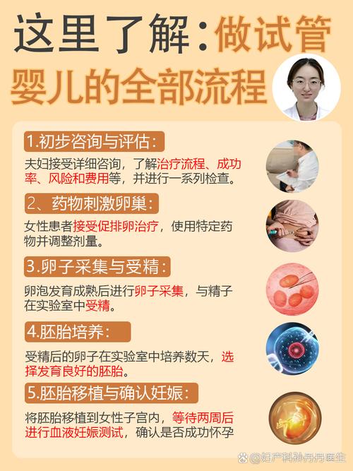 深圳试管婴儿科普：流程、风险和成功率一次讲清