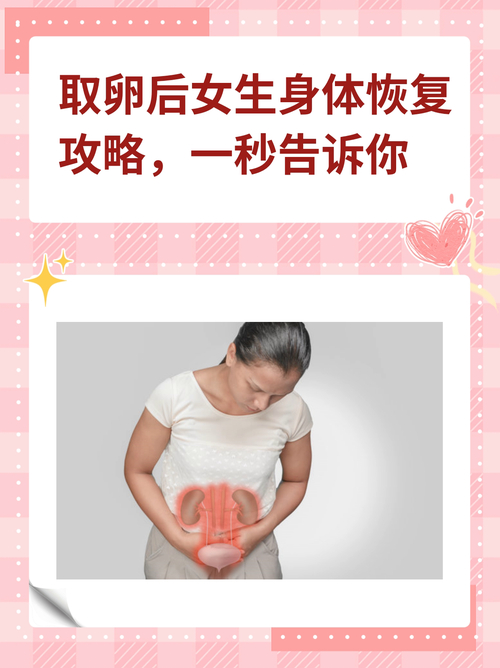 取卵后接下来是什么流程_取卵后护理_取卵后怎么办