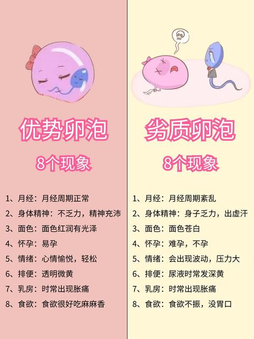 卵泡质量差如何调理_卵子质量_卵泡质量差是什么原因造成的
