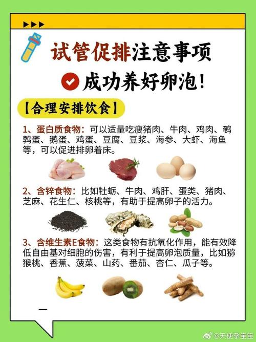 做试管婴儿需要注意_做试管需要注意什么_试管注意事项