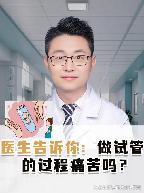 试管痛苦误区_试管婴儿错误_试管婴儿误区