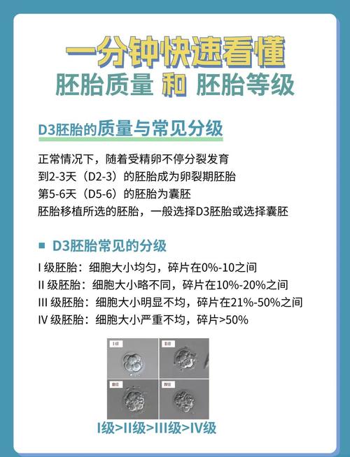 卵裂胚分级_卵裂期胚胎质量评估指标_卵裂胚评分