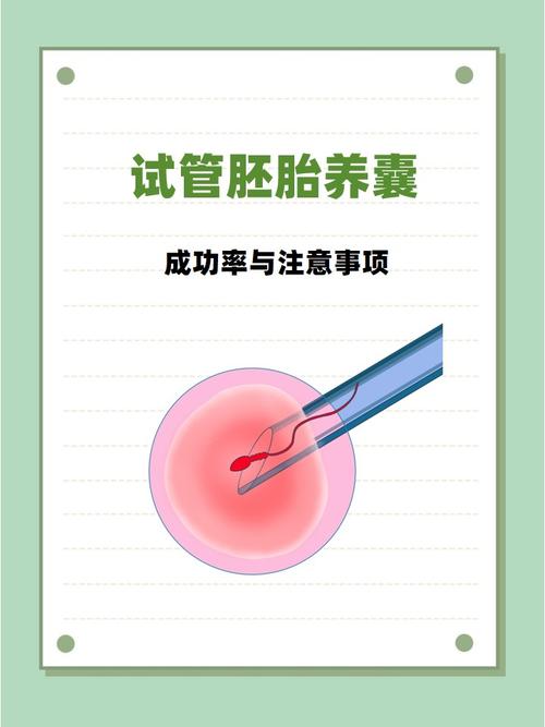 囊胚培养_培养囊胚的成功率_培养囊胚费用是多少