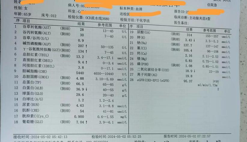 深圳香港验血能查出女孩吗？准确率到底高不高