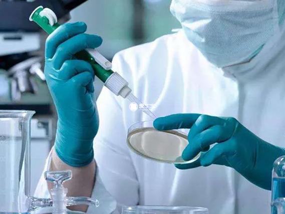 深圳广东三代试管费用多少钱?2026最新明细一次说清