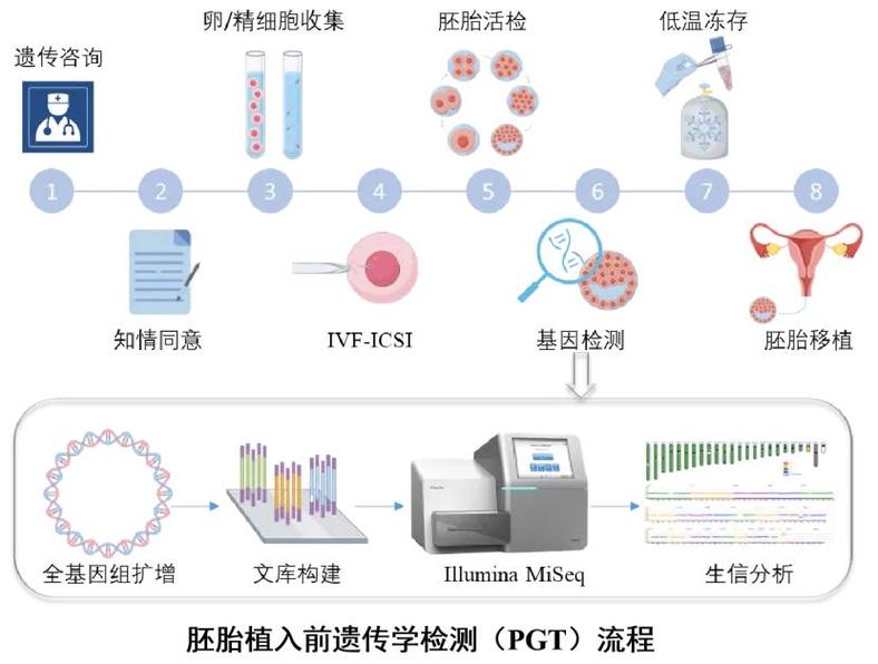 深圳三代试管筛查项目有哪些 能查什么病
